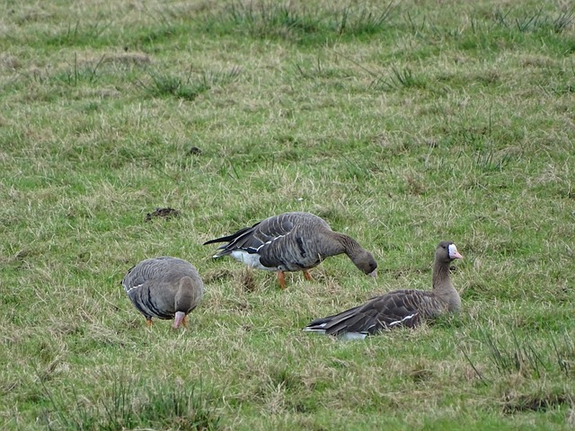 皇马在国家德比后失利，阿隆索面临下课危机，巴萨趁机领跑，西甲争冠形势严峻。